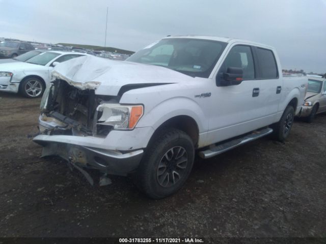 Photo 1 VIN: 1FTFW1EF8BFB42883 - FORD F-150 