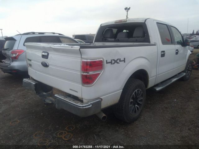 Photo 3 VIN: 1FTFW1EF8BFB42883 - FORD F-150 