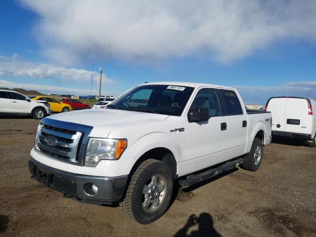 Photo 1 VIN: 1FTFW1EF8BFC67897 - FORD F150 SUPER 