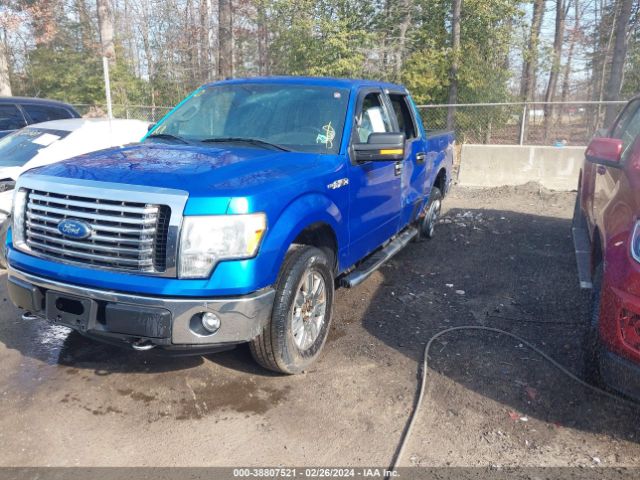 Photo 1 VIN: 1FTFW1EF8CFA37391 - FORD F-150 