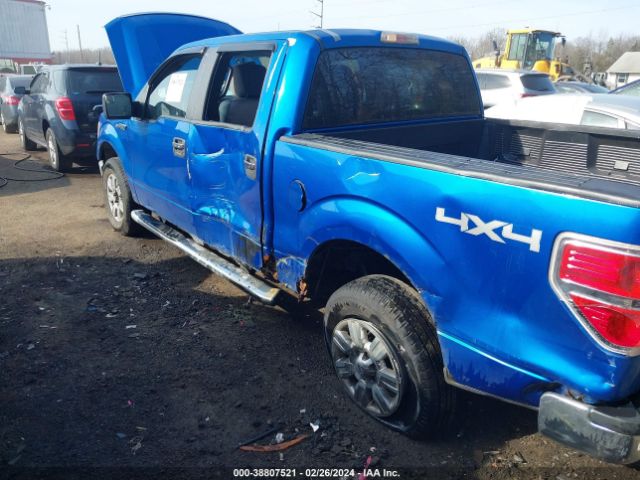 Photo 5 VIN: 1FTFW1EF8CFA37391 - FORD F-150 