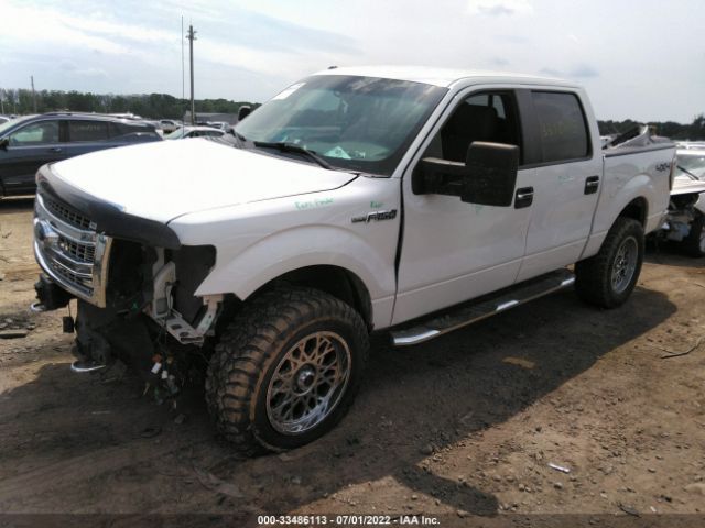 Photo 1 VIN: 1FTFW1EF8DFA71865 - FORD F-150 