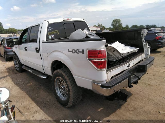 Photo 2 VIN: 1FTFW1EF8DFA71865 - FORD F-150 