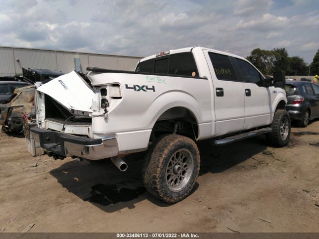 Photo 3 VIN: 1FTFW1EF8DFA71865 - FORD F-150 