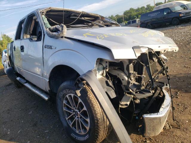 Photo 0 VIN: 1FTFW1EF8DFB14360 - FORD F150 SUPER 