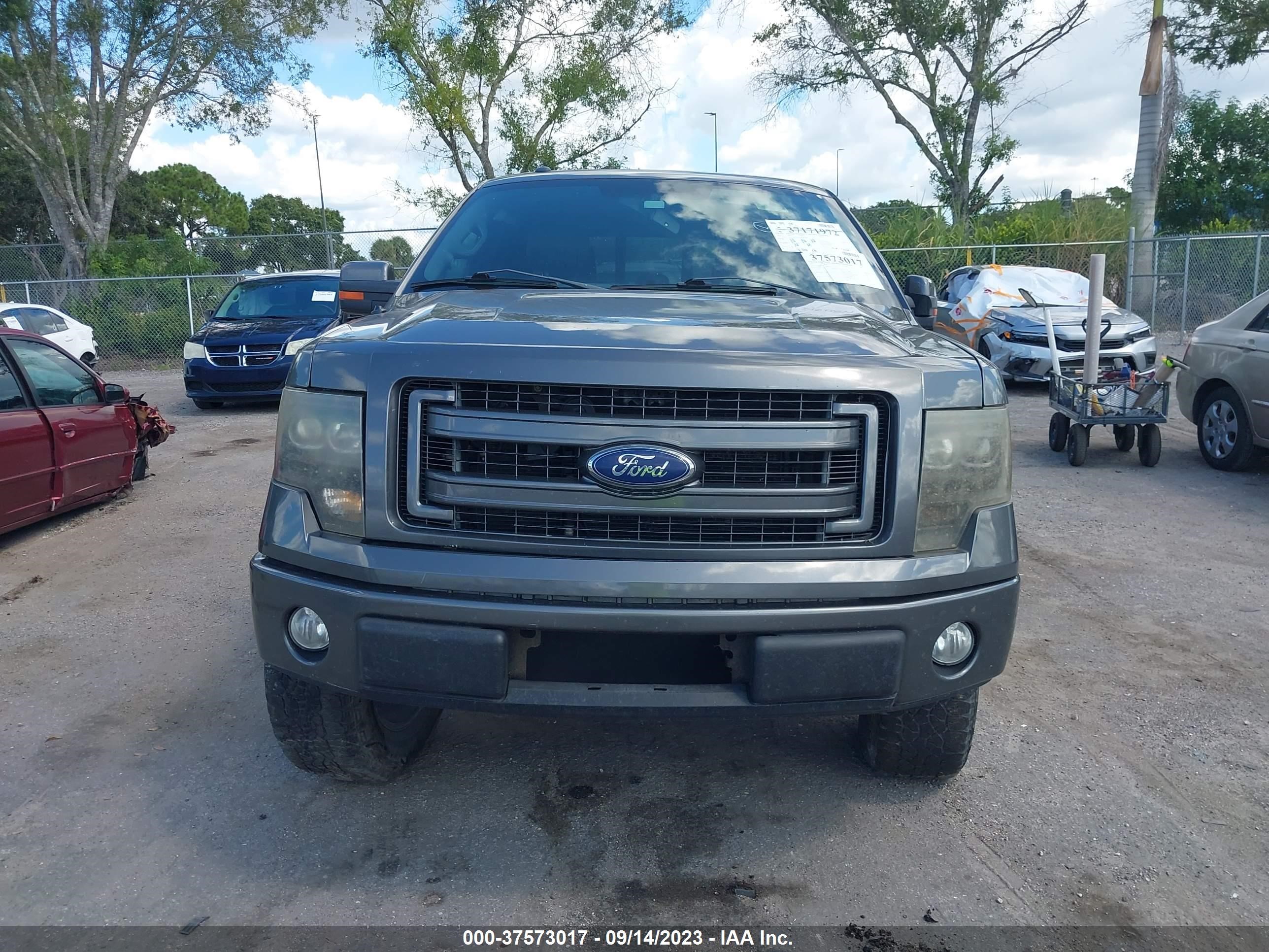 Photo 11 VIN: 1FTFW1EF8DFB60402 - FORD F-150 