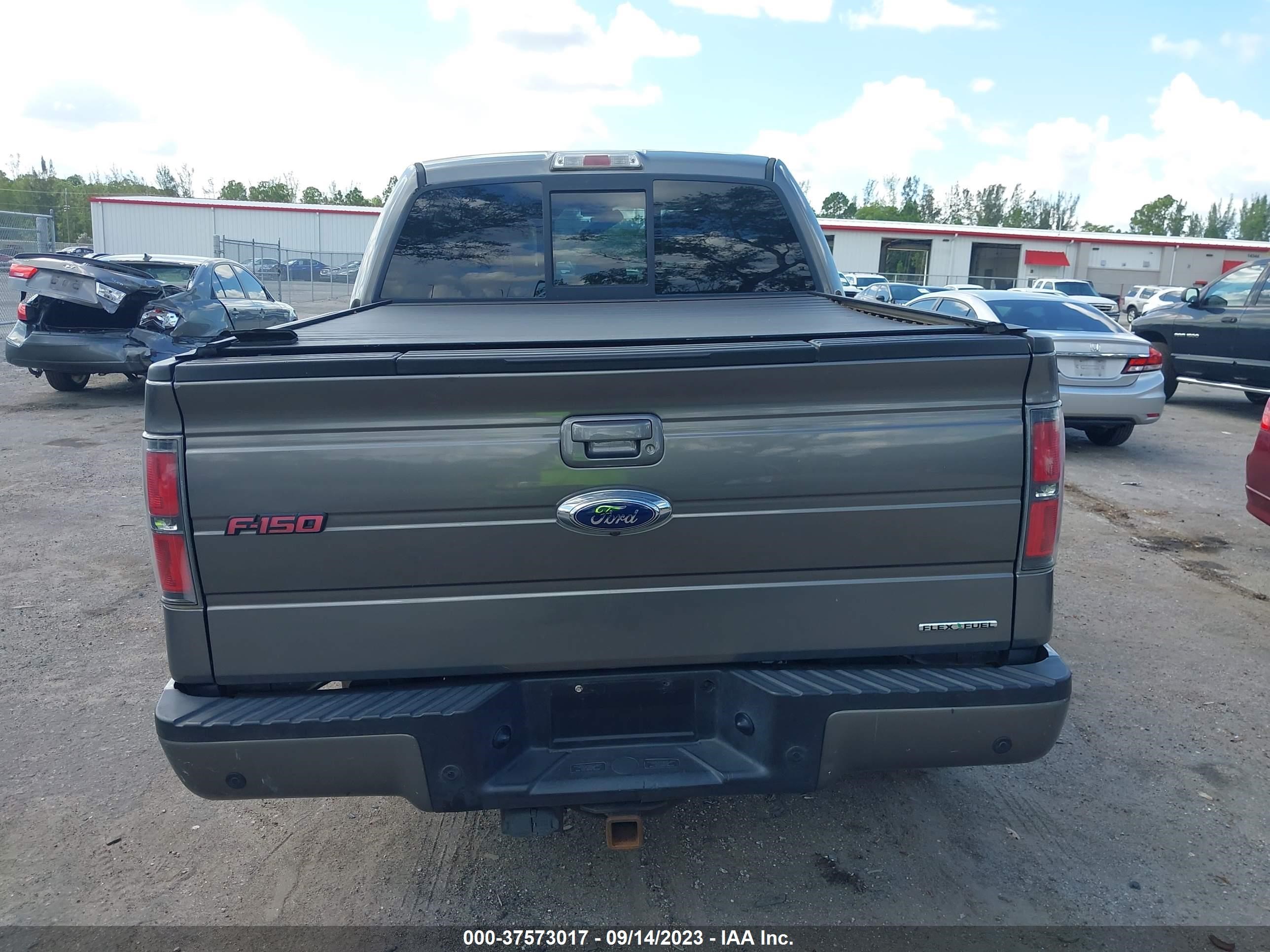 Photo 15 VIN: 1FTFW1EF8DFB60402 - FORD F-150 