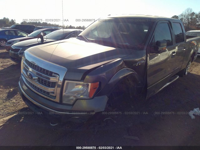 Photo 5 VIN: 1FTFW1EF8DFB92380 - FORD F-150 