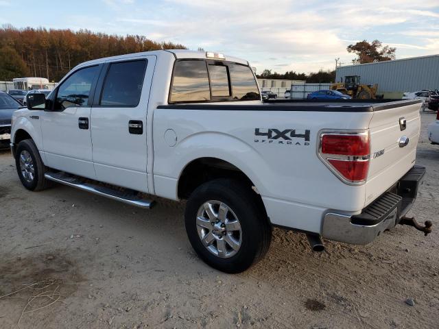 Photo 1 VIN: 1FTFW1EF8DFD08158 - FORD F-150 