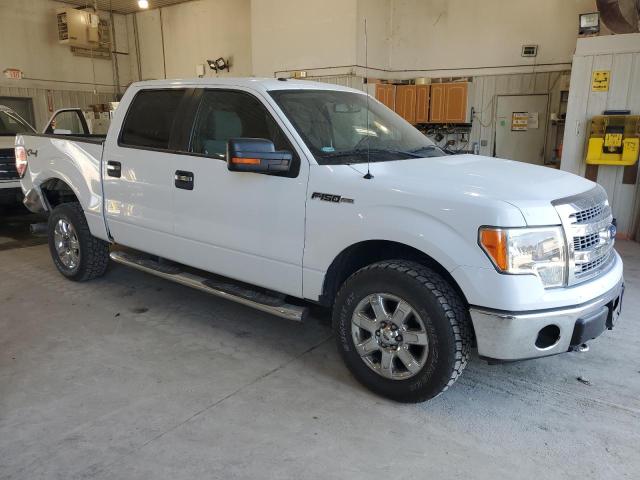 Photo 3 VIN: 1FTFW1EF8DKE50923 - FORD F150 SUPER 