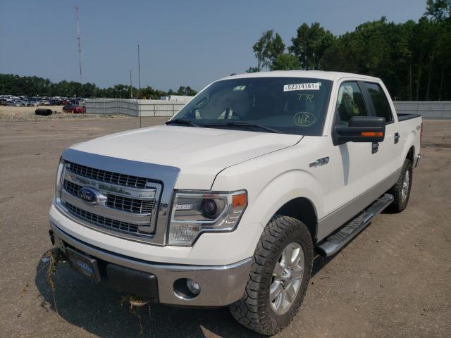 Photo 1 VIN: 1FTFW1EF8EFA81863 - FORD F150 SUPER 