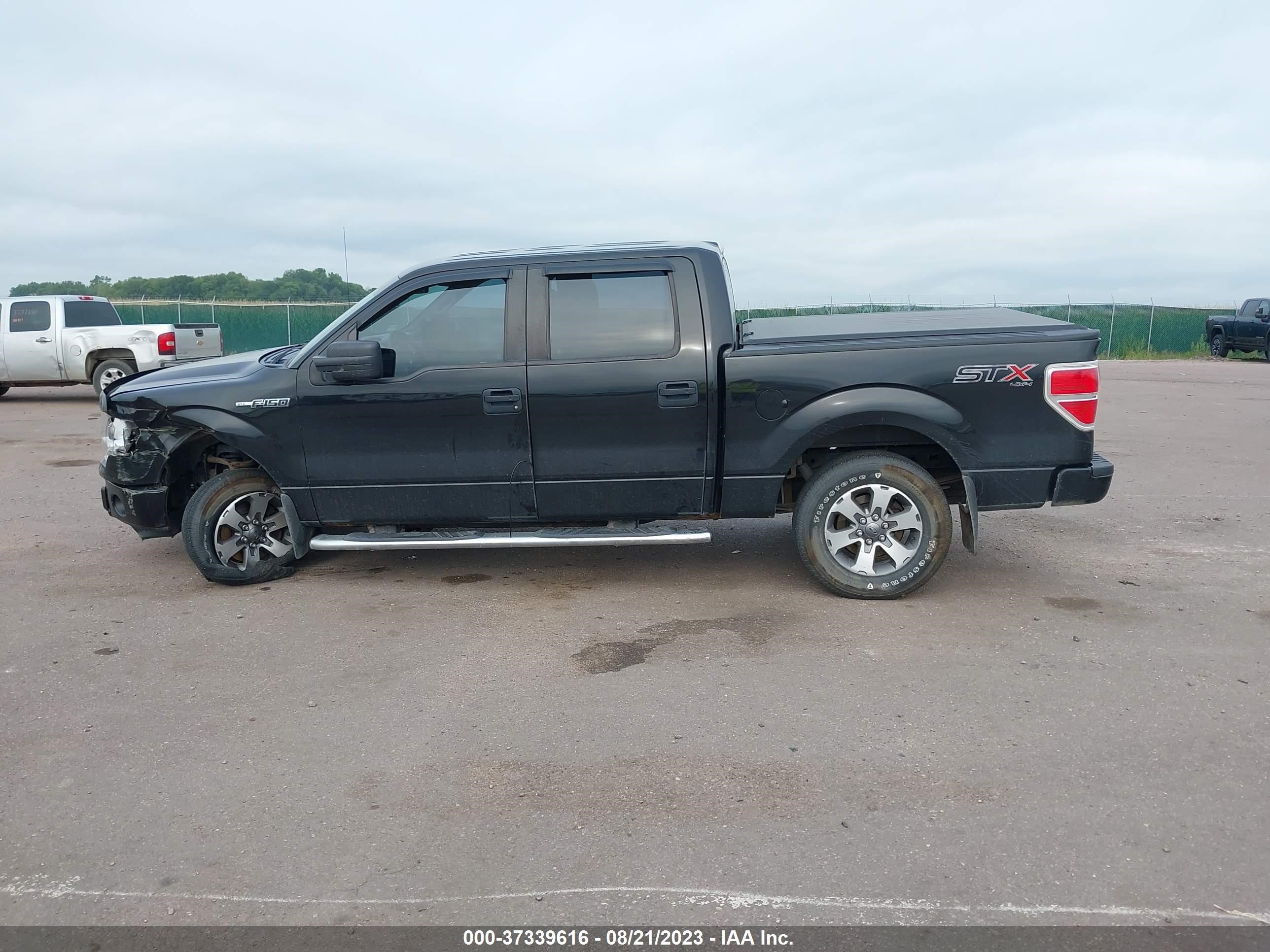 Photo 13 VIN: 1FTFW1EF8EFB30981 - FORD F-150 