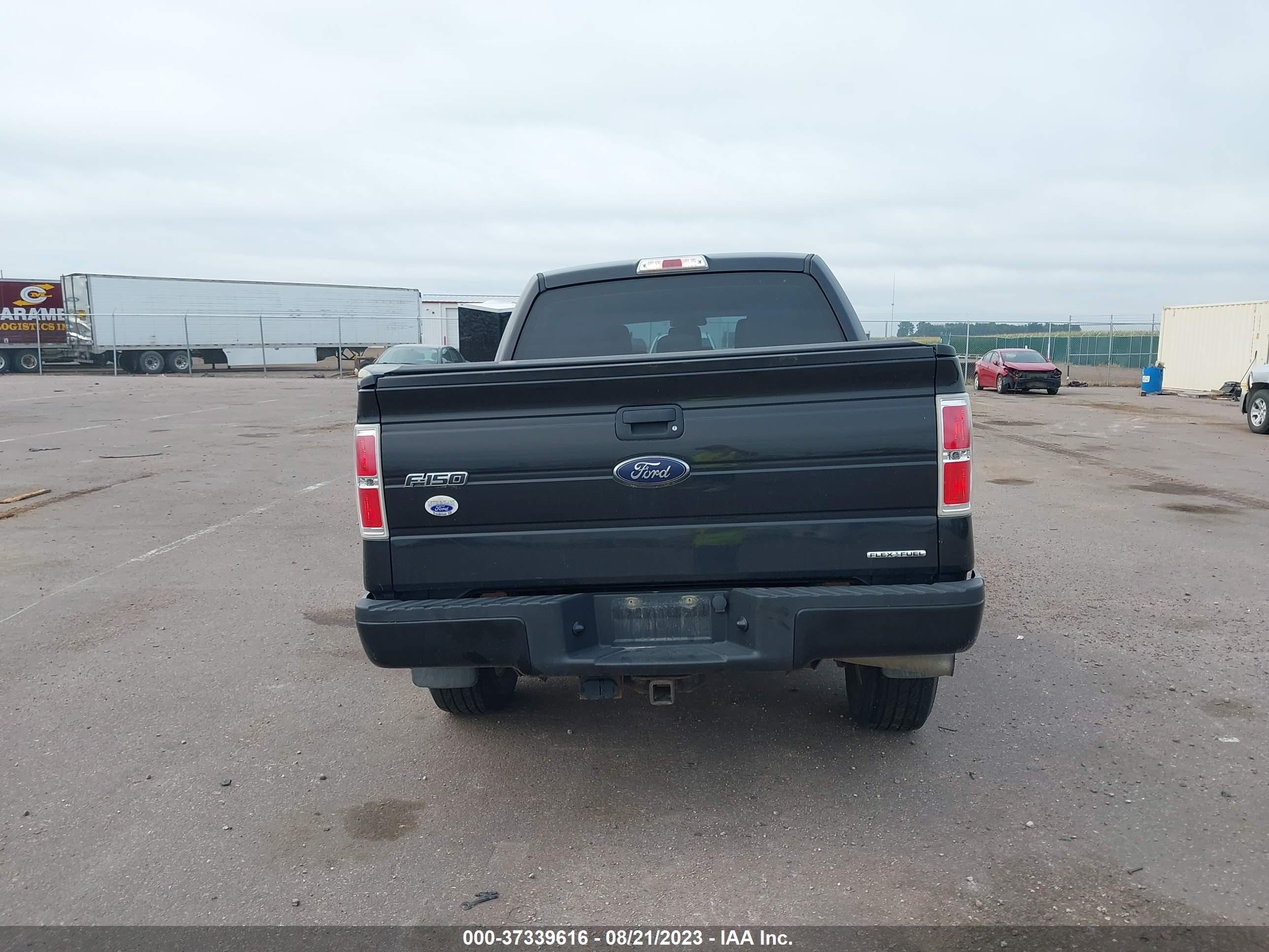 Photo 15 VIN: 1FTFW1EF8EFB30981 - FORD F-150 