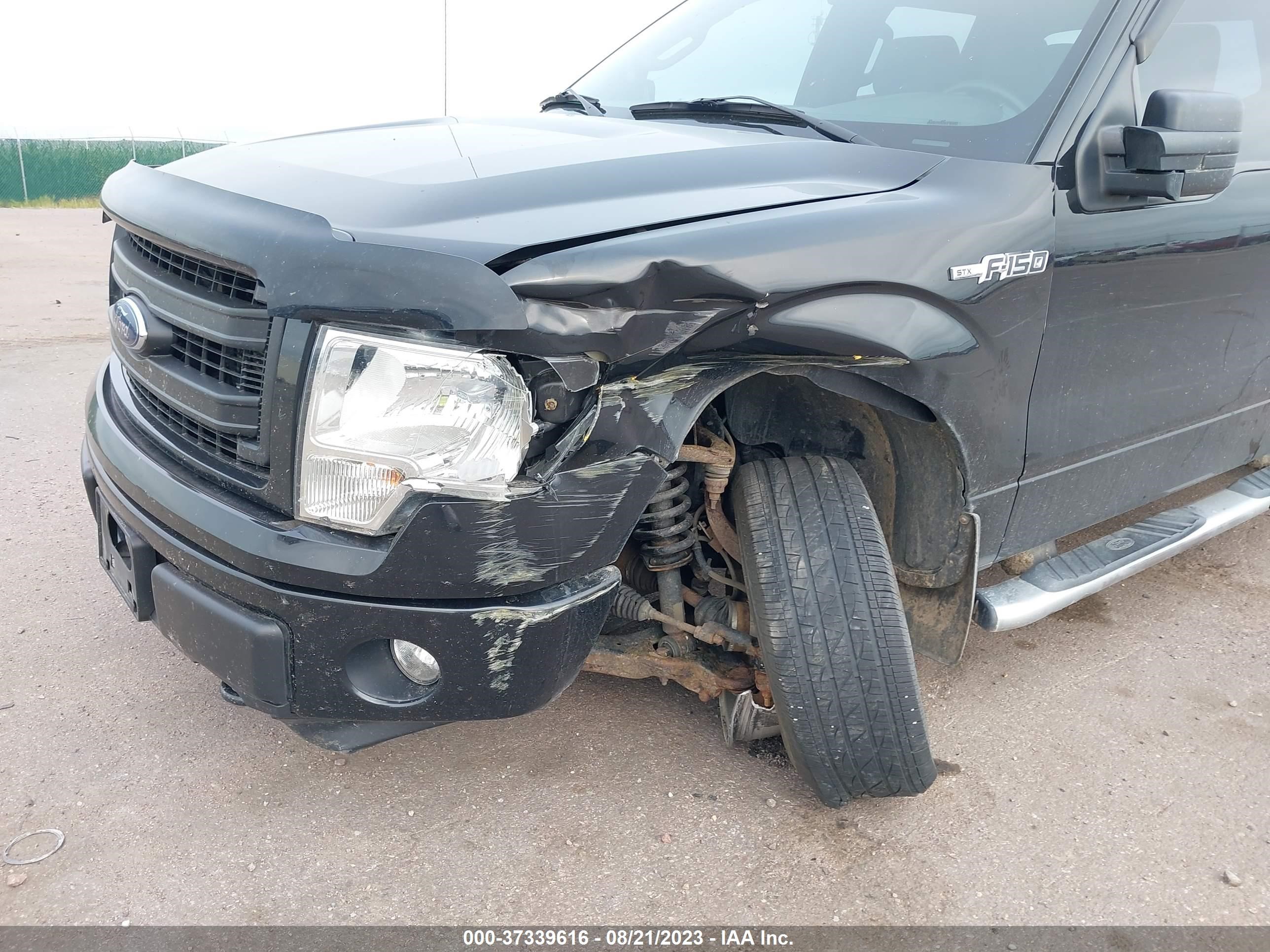 Photo 5 VIN: 1FTFW1EF8EFB30981 - FORD F-150 