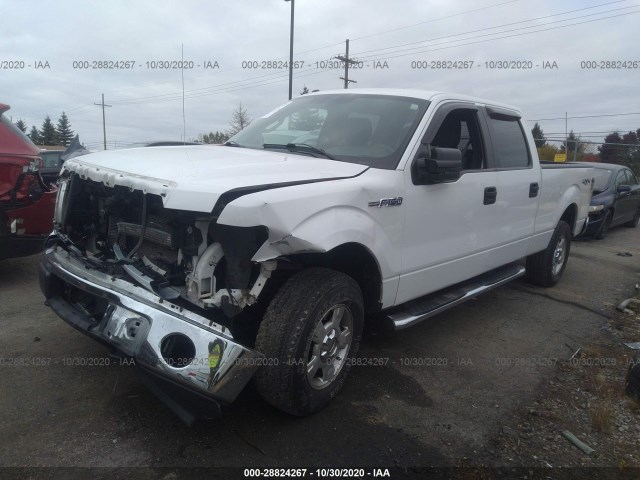 Photo 1 VIN: 1FTFW1EF8EFB34867 - FORD F-150 