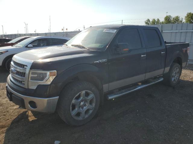 Photo 0 VIN: 1FTFW1EF8EKD25728 - FORD F150 SUPER 