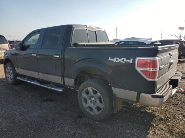 Photo 1 VIN: 1FTFW1EF8EKD25728 - FORD F150 SUPER 