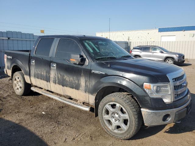 Photo 3 VIN: 1FTFW1EF8EKD25728 - FORD F150 SUPER 