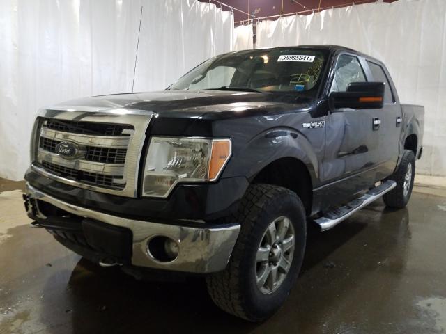 Photo 1 VIN: 1FTFW1EF8EKF81609 - FORD F-150 