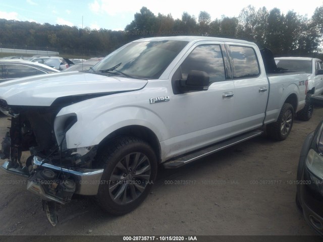 Photo 1 VIN: 1FTFW1EF8GFC62285 - FORD F-150 