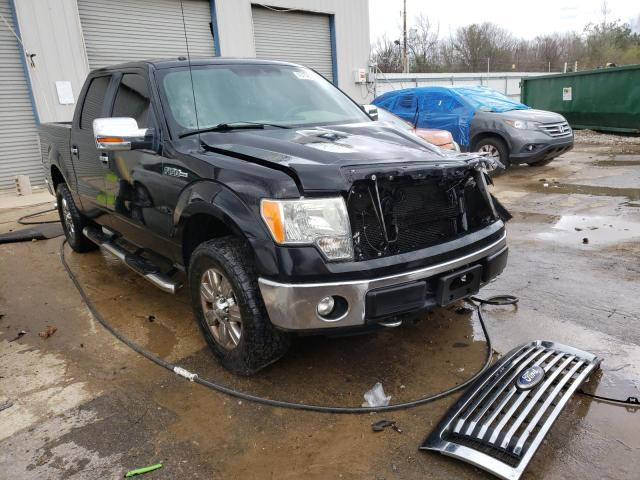 Photo 3 VIN: 1FTFW1EF9BFA40931 - FORD F150 SUPER 