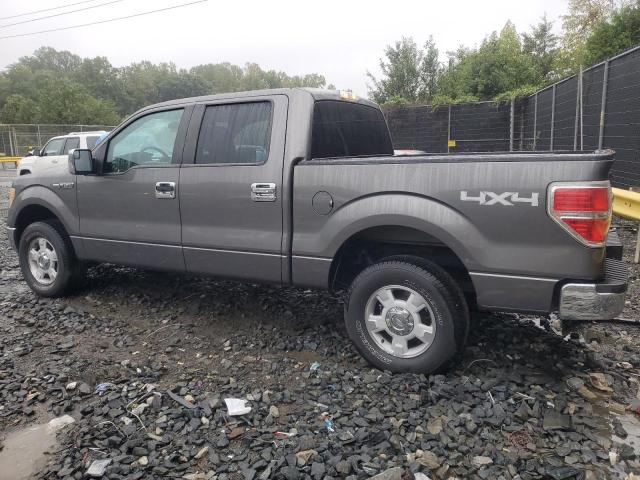 Photo 1 VIN: 1FTFW1EF9BFB03865 - FORD F150 SUPER 