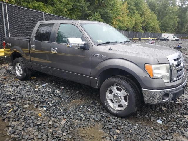 Photo 3 VIN: 1FTFW1EF9BFB03865 - FORD F150 SUPER 