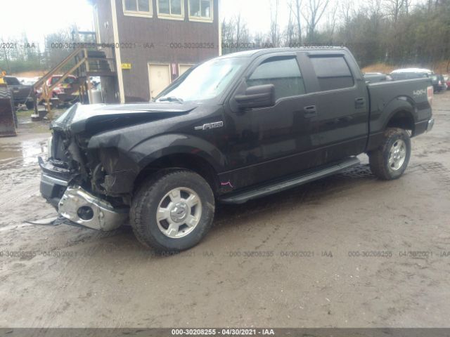 Photo 1 VIN: 1FTFW1EF9CFA07915 - FORD F-150 