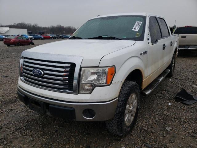 Photo 1 VIN: 1FTFW1EF9CKD02598 - FORD F150 SUPER 