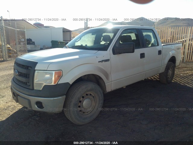 Photo 1 VIN: 1FTFW1EF9DFB02850 - FORD F-150 