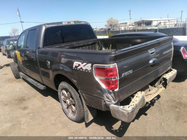 Photo 2 VIN: 1FTFW1EF9DFB24413 - FORD F-150 