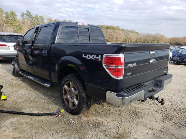 Photo 2 VIN: 1FTFW1EF9DFD36812 - FORD F150 