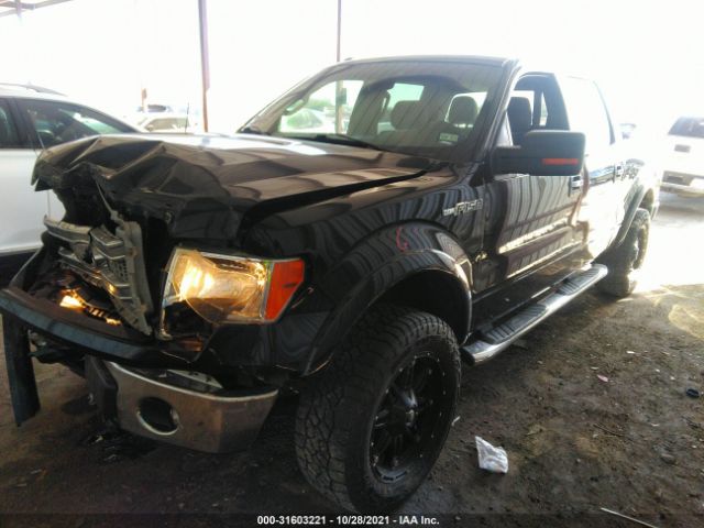 Photo 1 VIN: 1FTFW1EF9DKD22920 - FORD F-150 