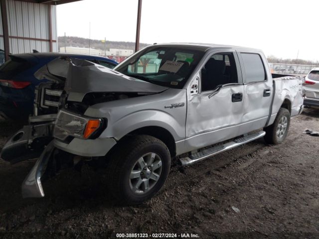 Photo 1 VIN: 1FTFW1EF9DKE33774 - FORD F-150 