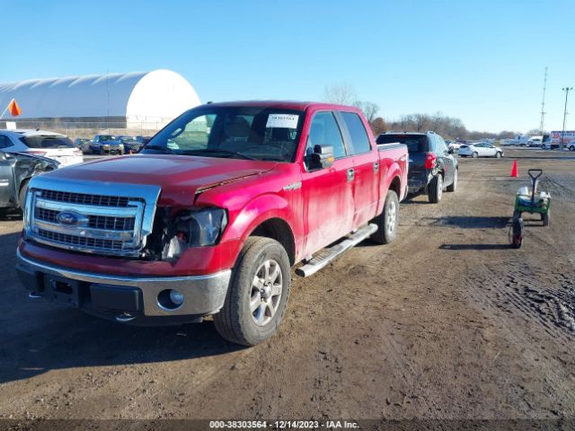 Photo 1 VIN: 1FTFW1EF9DKE87897 - FORD F-150 