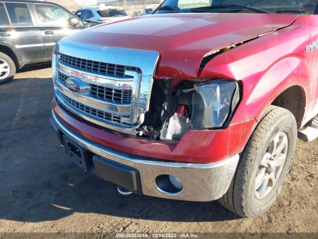 Photo 5 VIN: 1FTFW1EF9DKE87897 - FORD F-150 