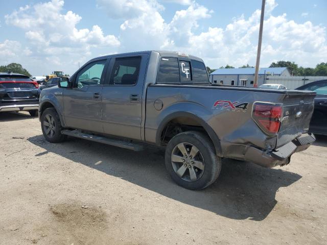 Photo 1 VIN: 1FTFW1EF9DKF57141 - FORD F-150 