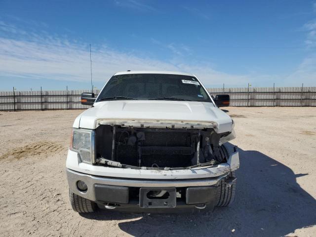 Photo 4 VIN: 1FTFW1EF9DKF65059 - FORD F-150 