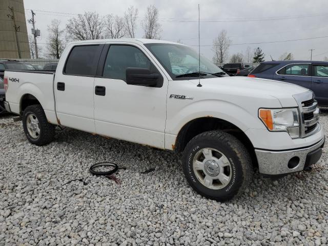 Photo 3 VIN: 1FTFW1EF9EFB32321 - FORD F-150 