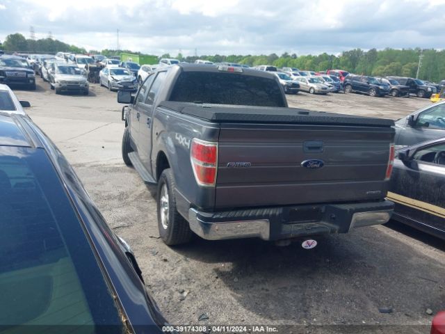 Photo 2 VIN: 1FTFW1EF9EKD27388 - FORD F150 