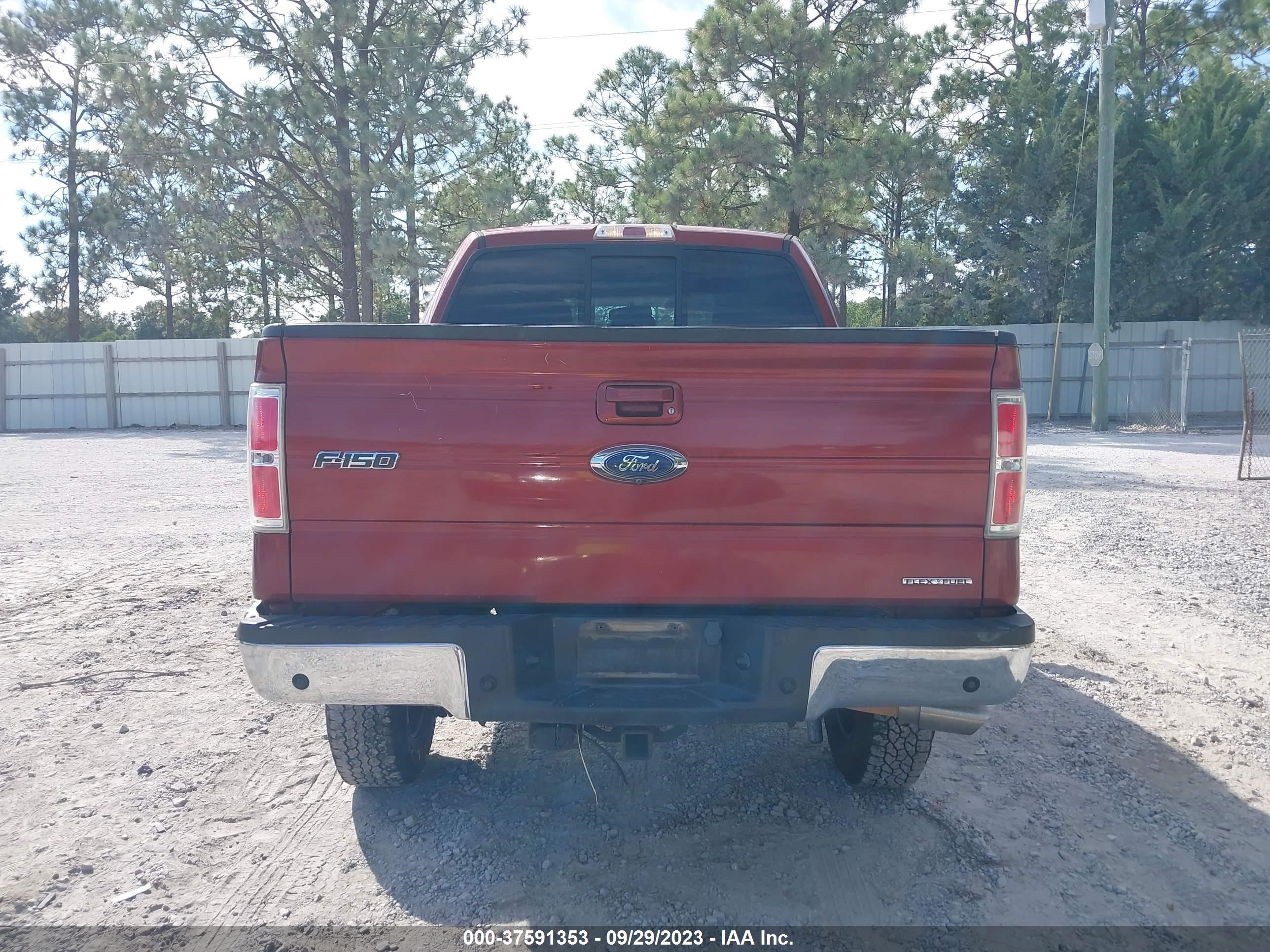 Photo 15 VIN: 1FTFW1EF9EKD31831 - FORD F-150 