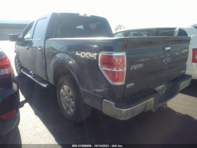 Photo 2 VIN: 1FTFW1EF9EKE08150 - FORD F-150 