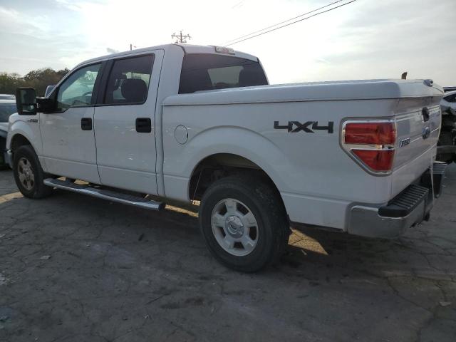 Photo 1 VIN: 1FTFW1EF9EKE24817 - FORD F150 SUPER 