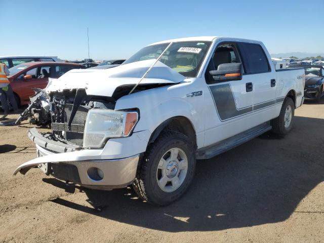 Photo 1 VIN: 1FTFW1EF9EKE45893 - FORD F150 SUPER 