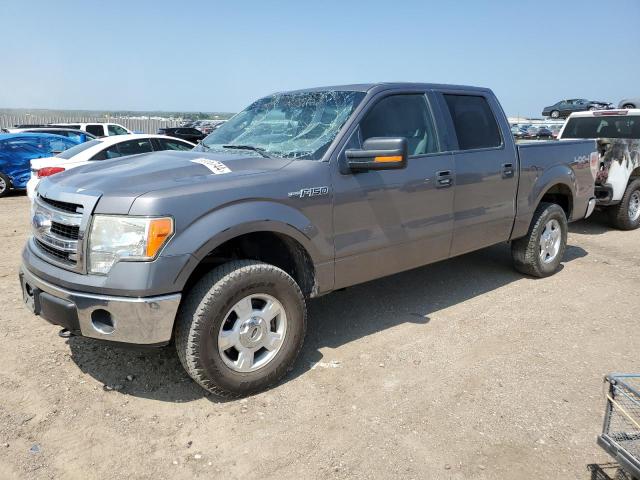 Photo 0 VIN: 1FTFW1EF9EKF40082 - FORD F150 SUPER 