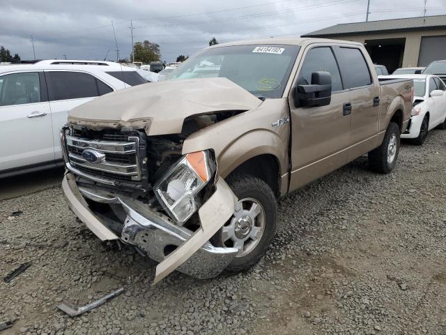 Photo 1 VIN: 1FTFW1EF9EKF56217 - FORD F150 SUPER 