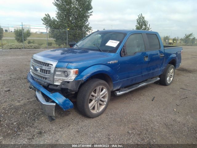 Photo 1 VIN: 1FTFW1EF9EKG32552 - FORD F-150 