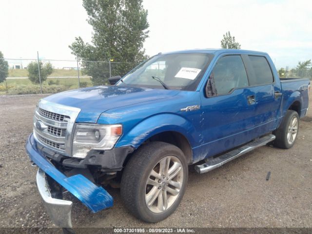 Photo 5 VIN: 1FTFW1EF9EKG32552 - FORD F-150 