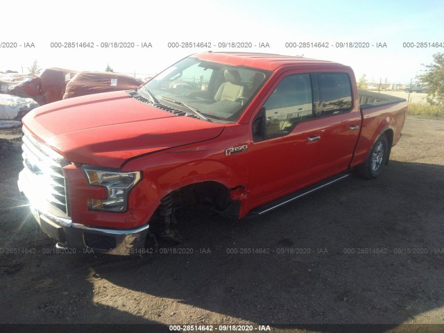 Photo 1 VIN: 1FTFW1EF9GKD39284 - FORD F-150 