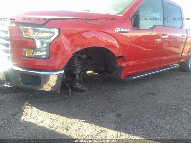 Photo 5 VIN: 1FTFW1EF9GKD39284 - FORD F-150 